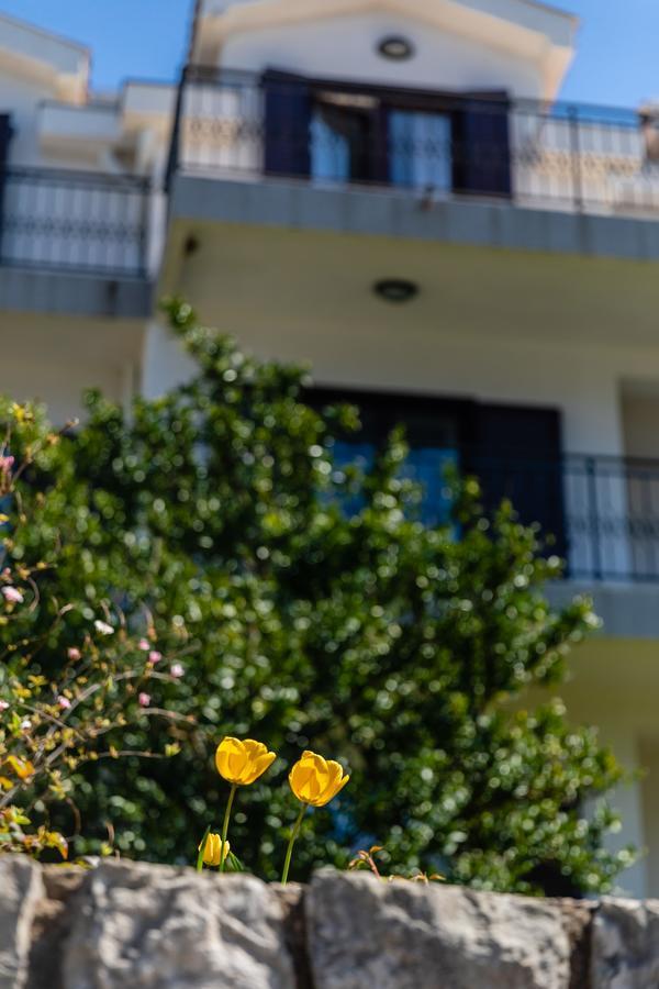 Apartments Miramar Kotor Exterior photo